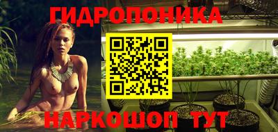каннабис Славгород